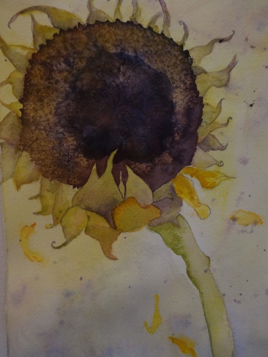 05.sunflower.old